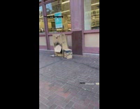 Two cardboard boxes on sidewalk talk 