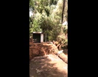 Man jumps on log over river fail