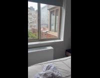 Collab WINY - Bird eats something outside the corner window