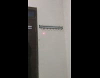 Gecko on wall follows red laser pointer 
