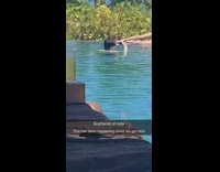 Girl lay pose pool boyfriend take picture