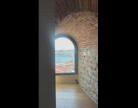 Woman in red dress poses in the rooftop with birds Part 3