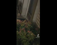 Guy calls his dog outside of the wrong door 