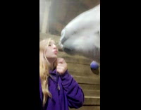 Blonde girl kiss horse mouth multiple times