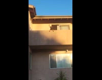 Neighbor dog on balcony look at filmer