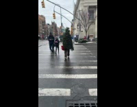 Man Christmas tree costume cross street greet Hoiday