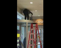 Essential worker vacuums above glass door entrance 