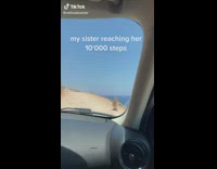 Goat hiking and walk on side of mountain