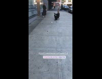 Girl long black dress trash sidewalk litter