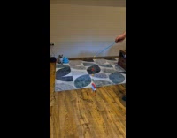 Cat jumps to reach cat wand toy