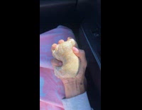 Man given small sized burrito from chipotle