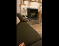 Collab BitchMP - Both cat and dog fetch ball 