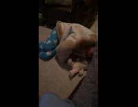 Woman under blanket tries to scare dog