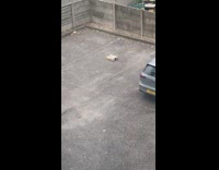 Amazon package box left at parking lot