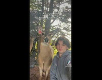 Man Take Video Selfie with Pet Deer