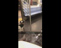 Is That A Butt Plug Subway