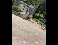 Pink dress girl sits planter tripod disneyland 