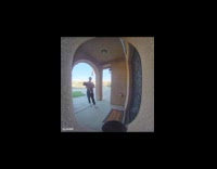 Neighbor brings dog back to owners house