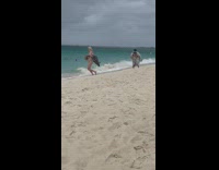 Woman kick water drink from bottle beach