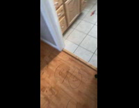 Mom shocked by sons drawing 