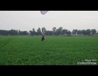 guy on purple hand glider in field 