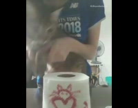 Cats pass slide toilet paper transition 