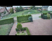 Roe Deer jumps and breaks the gate at the yard