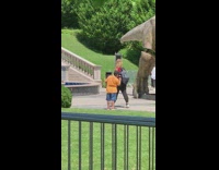 Kid takes picture of a woman at the park