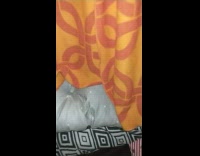 Pet cat awaken behind the curtain at night