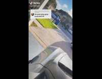 My tesla horn is acting real sus