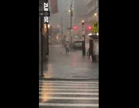 Guy crosses street green toy delivery pt. 2
