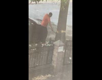 Collab winy - Man scrape tree bark with a machete