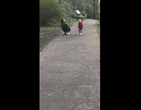 Woman takes photo kid red jacket walk