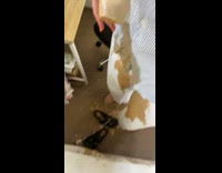 Girl drops cup of coffee trying to show it off