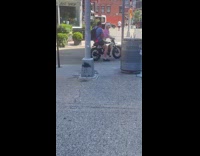 Collab WINY - Man and dog ride electric bike street