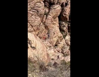 Two women pink and blue leggings butt canyon