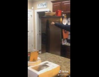 Collab VIBES - Family take turns screaming to release steam