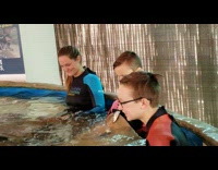 Stingray swim towards kid with fish pool