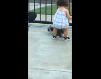 little girl in white pink jumper touches cat falls back 