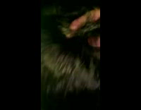 Guy backflips onto sand from pier 