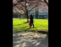 Girl juggle red balls with legs grass
