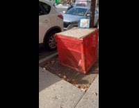 Collab WINY - Makeshift chicken coop on sidewalk red net