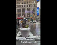 guy dressed as the penguin from batman umbrella