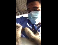 Monkey pulls lanyard blue scrubs face mask 