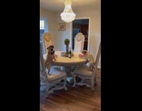 2 pugs have date night at dinner table 