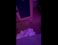 Collab Clips MPUGC - Woman screams at mouse in her bedroom