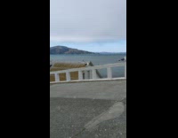 Collab DailyDoseOfInternet - Seagulls on white barriers apart from each other