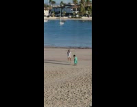 Guy grey shirt white shorts pose beach