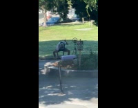 Man dances with stick at the park