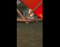 Girl with crown film tiktok red triangle